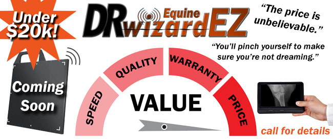 wireless equine dr flat panel